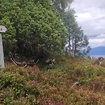Four Bedroom House With Fjord Views * Stranda (More og Romsdal)