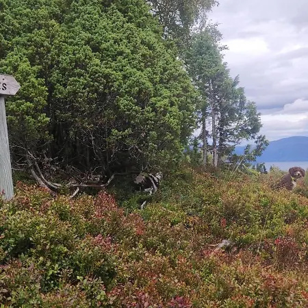 Four Bedroom House With Fjord Views * 斯特兰达